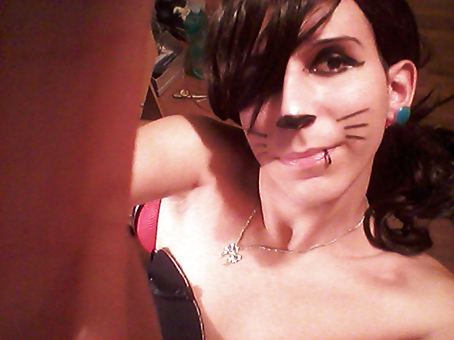 Solicitar galería
 #14383864