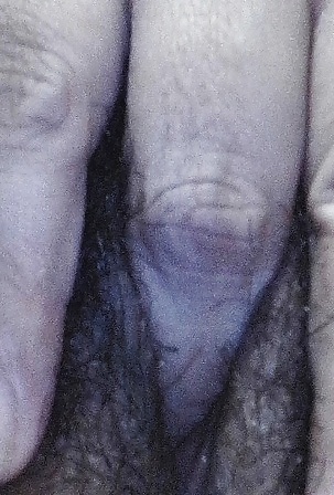 ハーニー
 #13326182