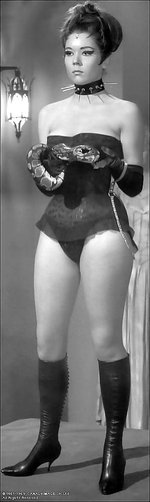 ダイアナ・リグ（エマ・ピール役） 英国のレトロな女性
 #18929697