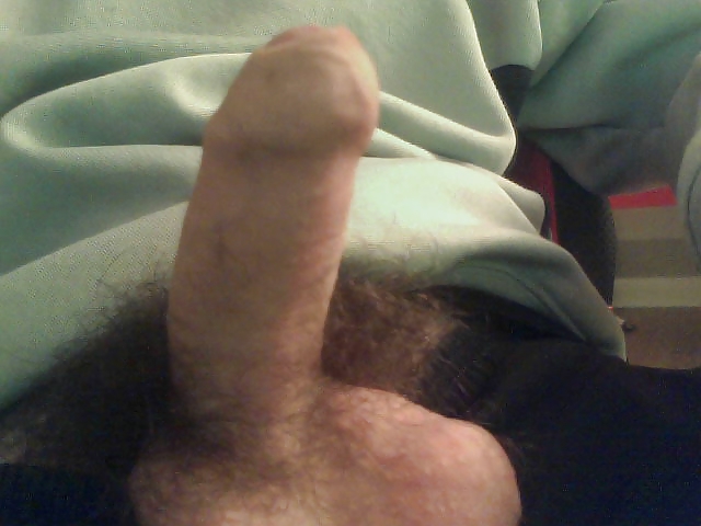 ウーフー
 #13460579