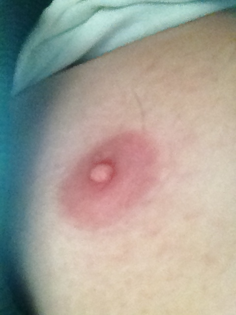 ウーフー
 #13460635