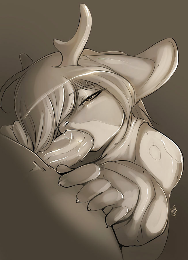 Peludo 13
 #13583701