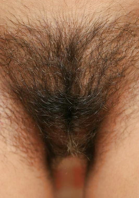 HAIRY PUSSIES #116149