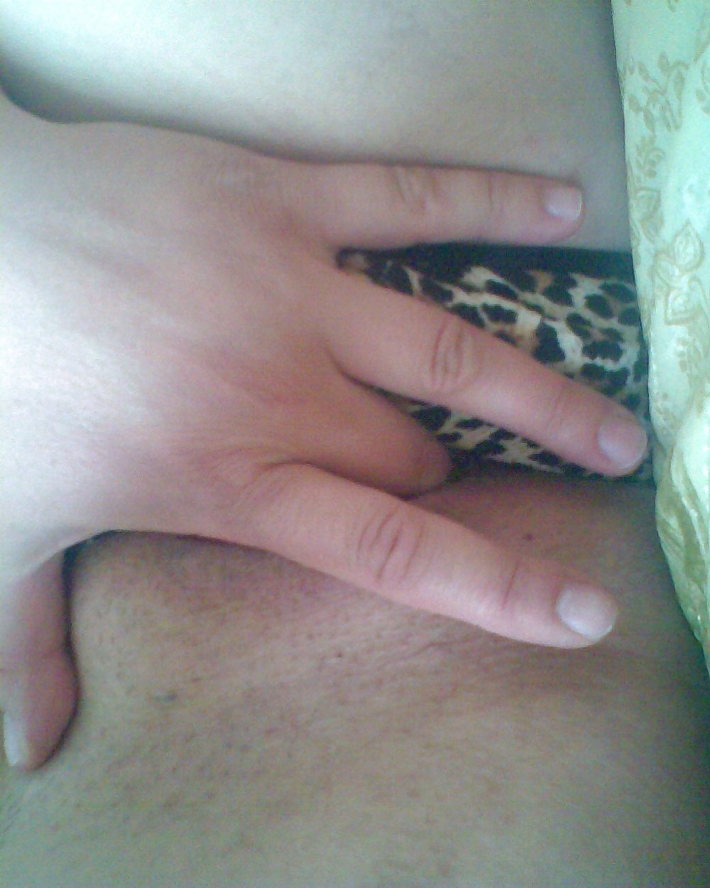 My pussy #4111556
