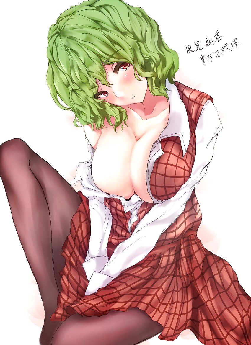 Touhou: My Favorite Character. #6415458