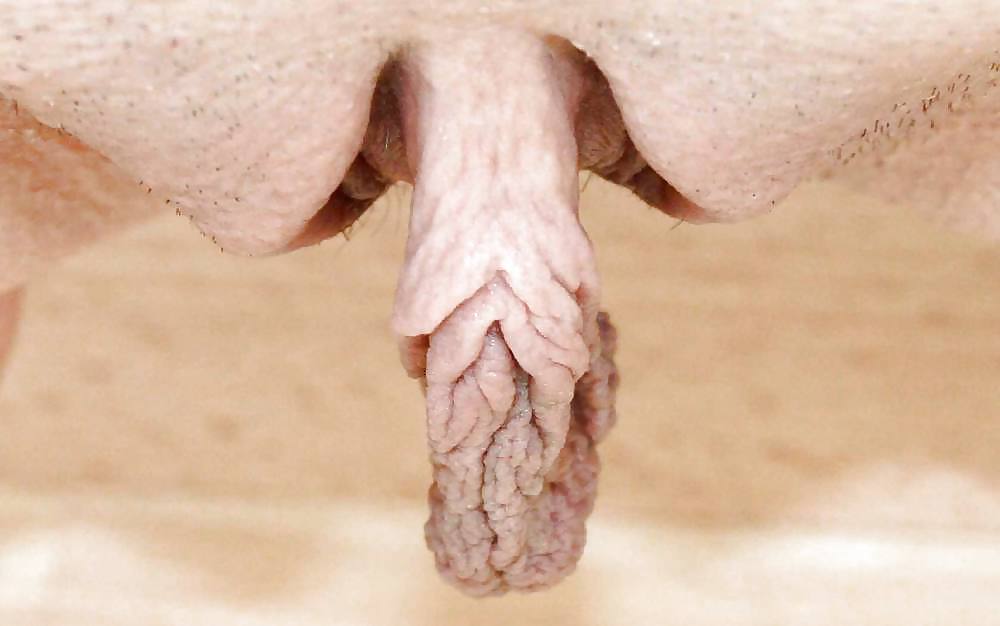 Labios de coño al azar (1) web encontrada
 #7688606