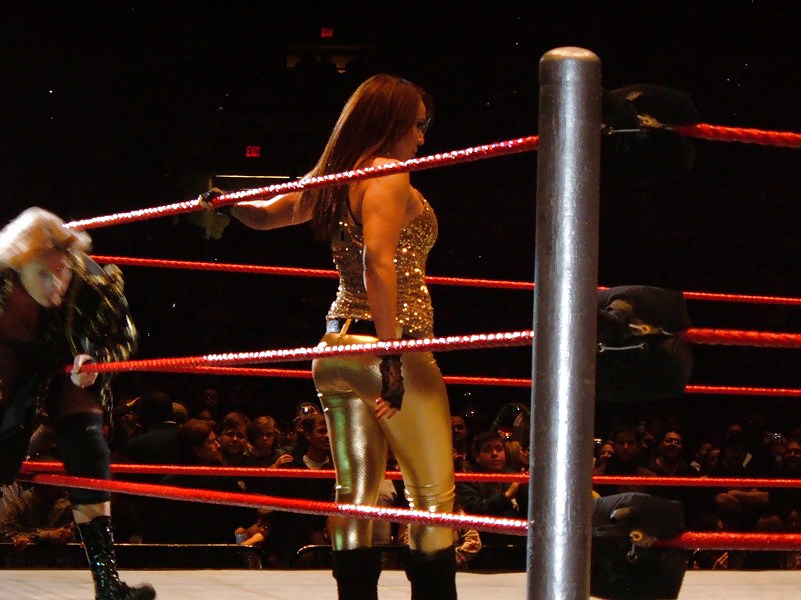 WWE and TNA Diva Asses #4066223