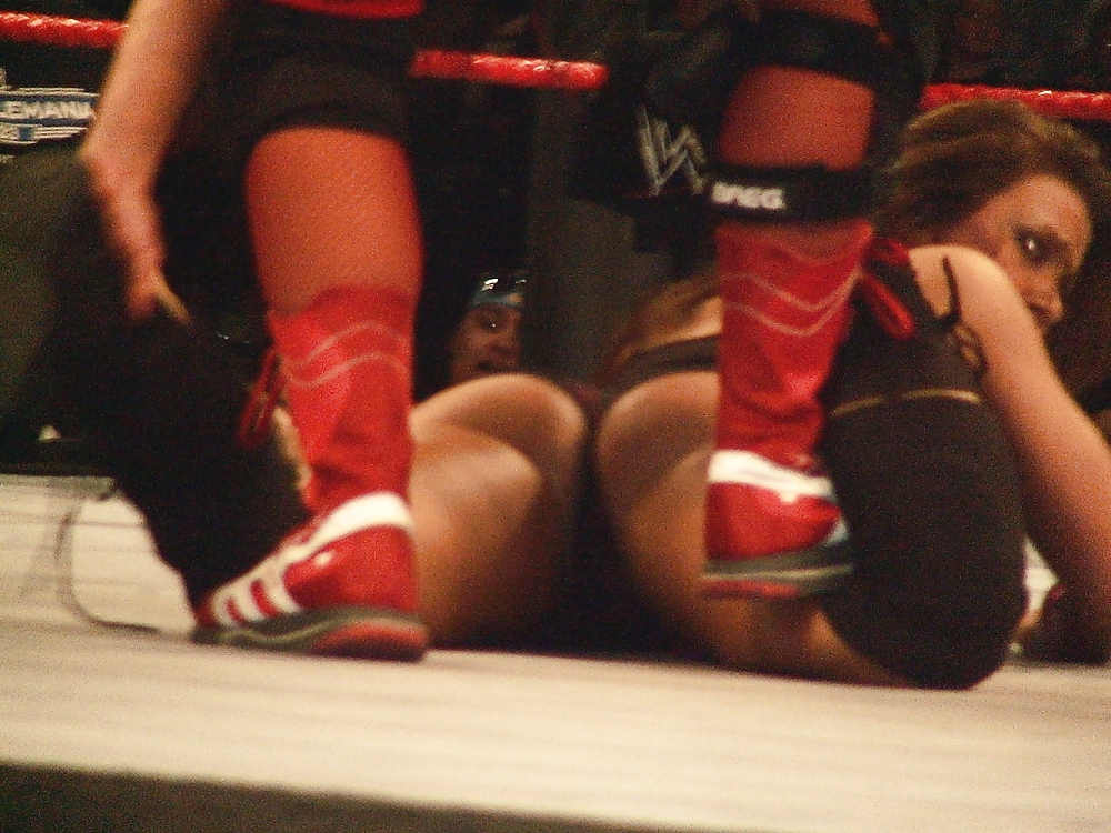 WWE and TNA Diva Asses #4066488