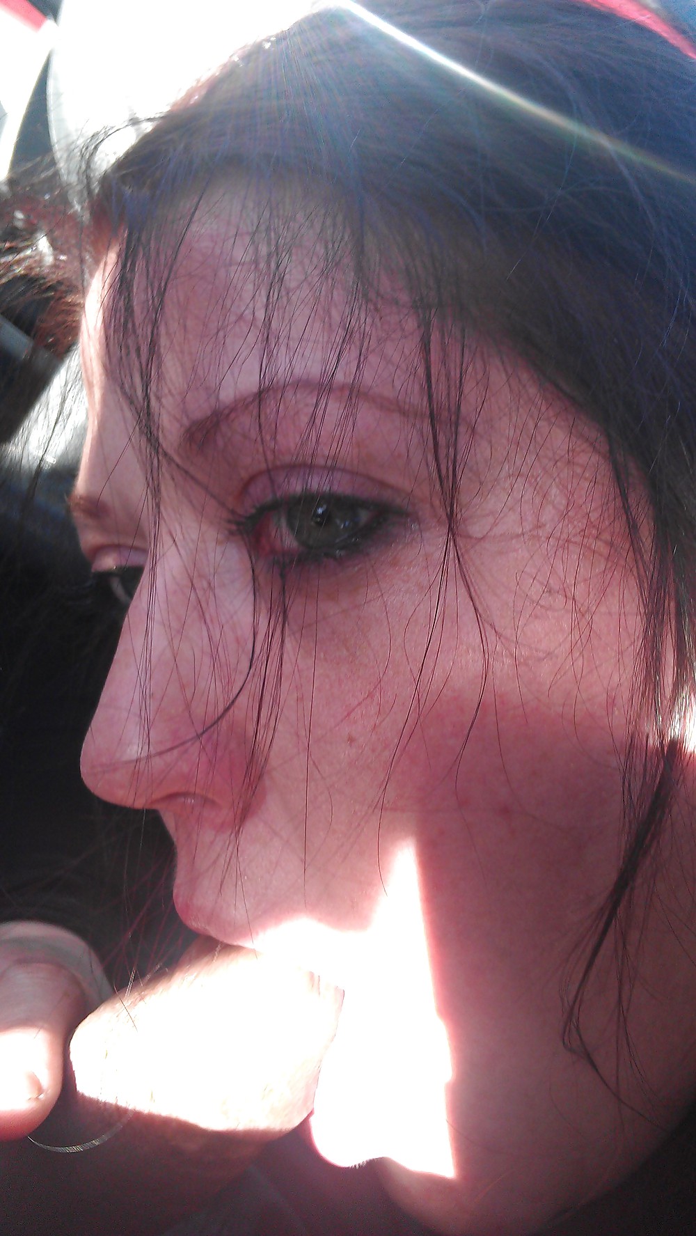 Heilige Kuh #7549148