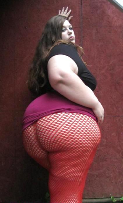 BBW & SSBBW Asses Collection #23 #21028728