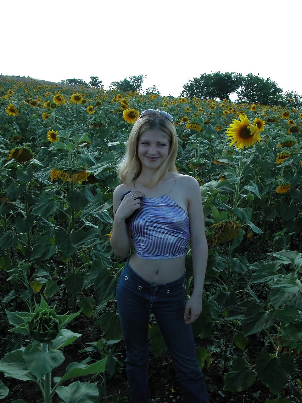 Dulce girasol
 #16325288