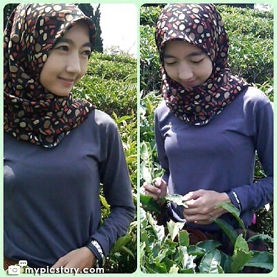 Belleza y caliente indonesia jilbab tudung hijab 2
 #15345385