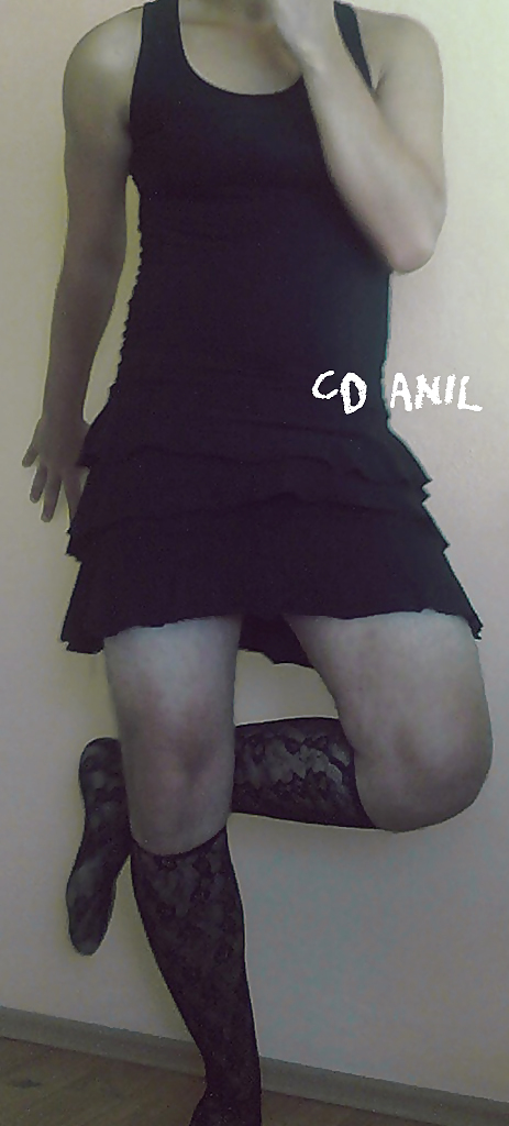 Cdanil4 #4785407