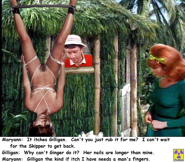 Gilligan's Island Fakes #17623005