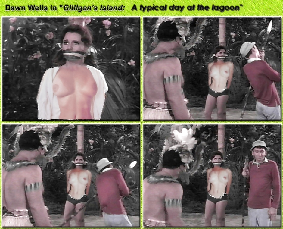 Gilligan's Island Fakes #17623027