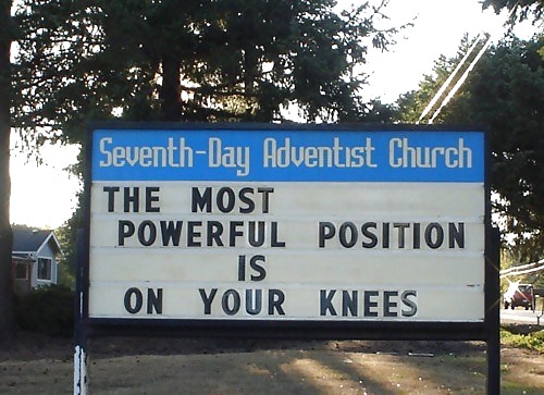 私のお気に入りの面白い写真
 #19043371