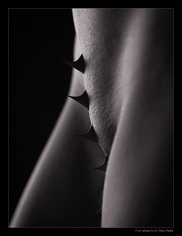 Portraits of  black and white nude  #3803492