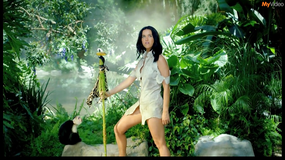 Katy Perry Roarr #19984674