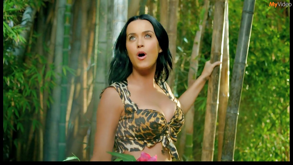 Katy Perry Roarr #19984717