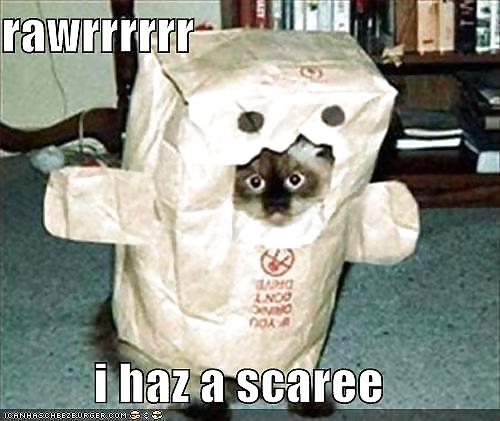 Algo para divertirse
 #10066060