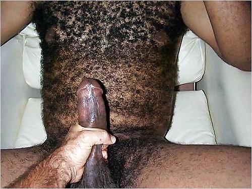 Hairy brown hot men #22752692