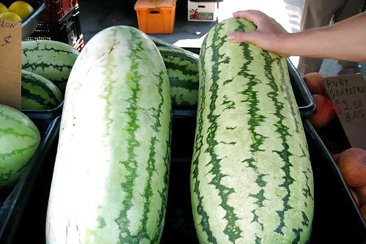 Some Big Mellons #3609518