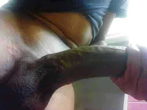 Big dick! For ladies only!! #11355618