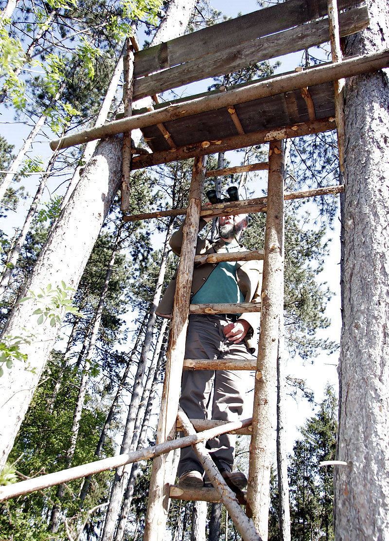 Wald Sex Mit Alten Und Jungen #5088211