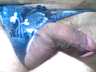 String color 23 #278459