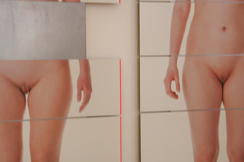 Artwork - puzzle of female beauty ideal - 2010 #3850903