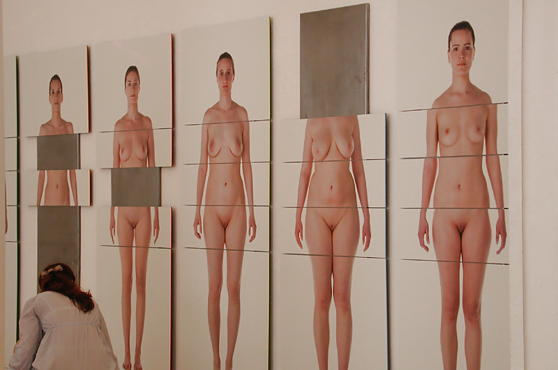 Artwork - puzzle of female beauty ideal - 2010 #3850911