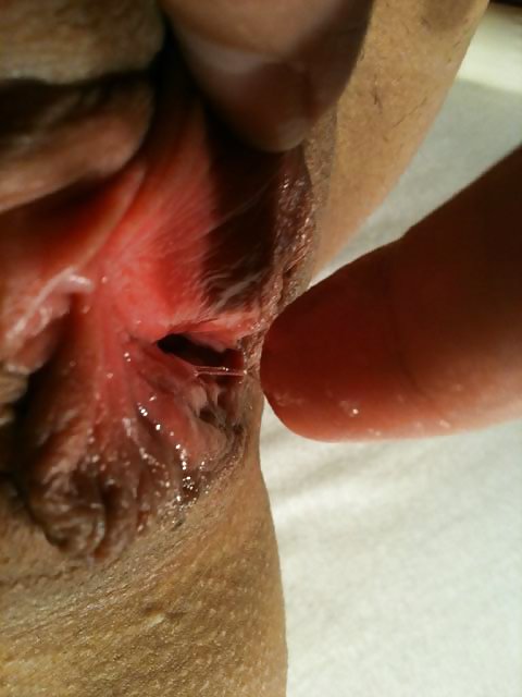 Pussy #3850049