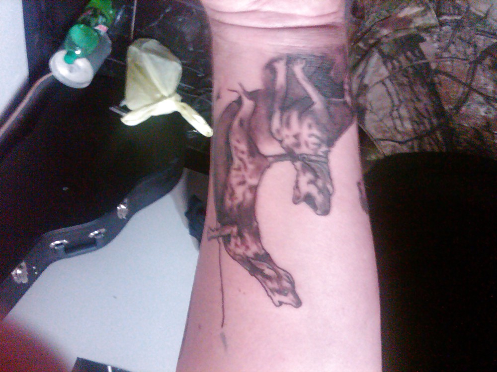 Tats
 #9173045