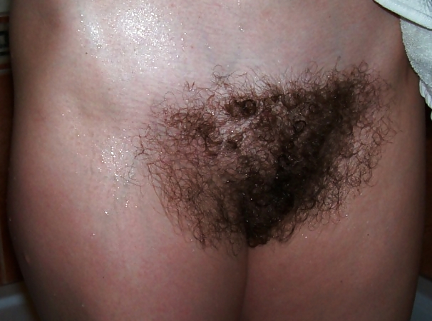 Hairy pussy 05. #4499793