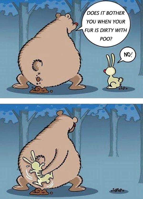 Solo divertido
 #12796041