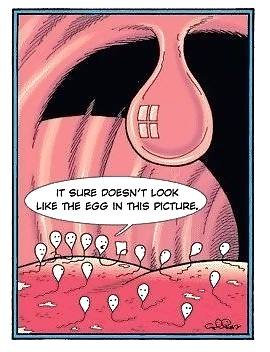 Solo divertido
 #12796056