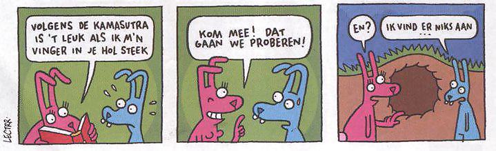 Solo divertido
 #12796064