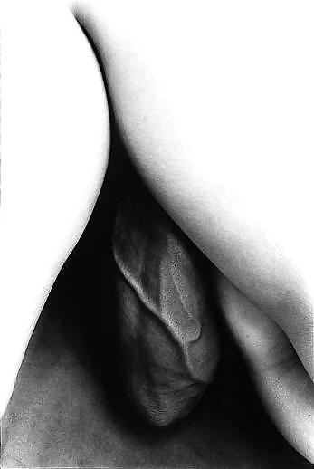 Pour elle 34 #5829620