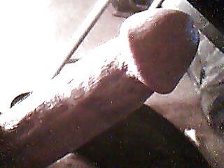 La polla de B
 #586450