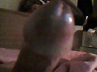 La polla de B
 #586463