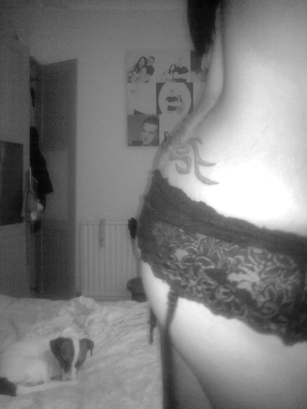 リトルホ1
 #2021872