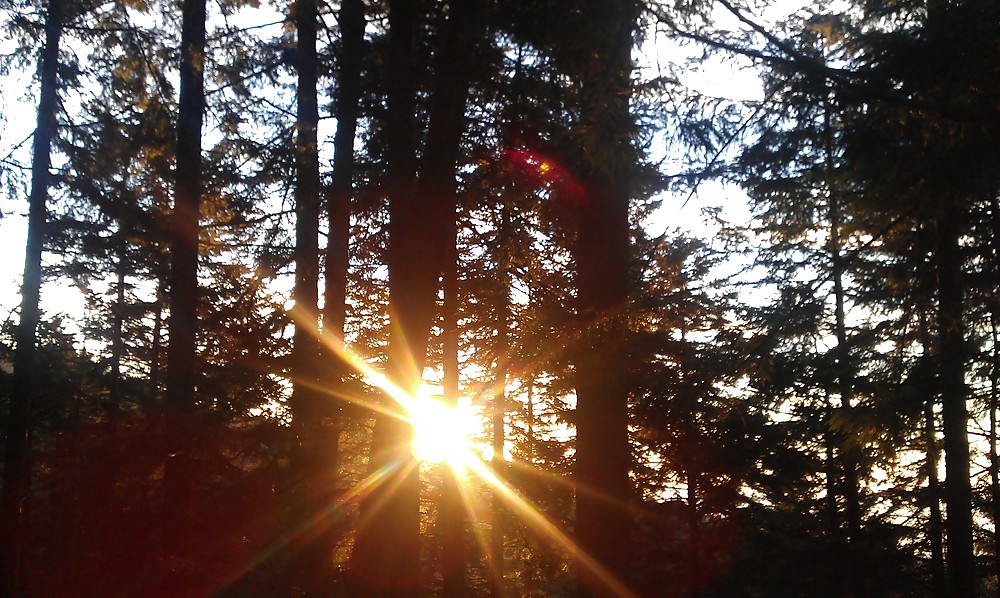 SUNSET  #9624946