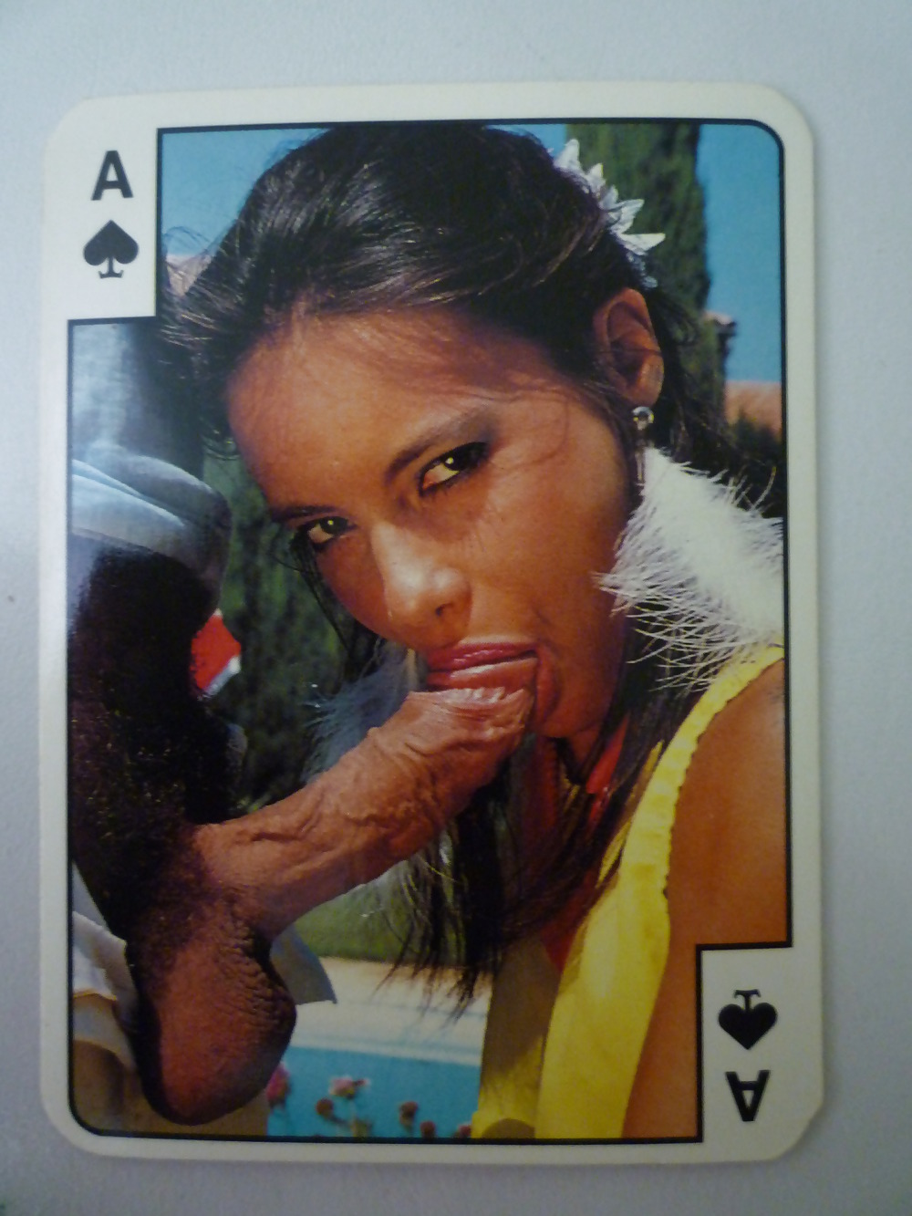 CC playing cards #832271