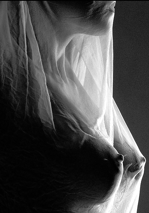 ジャナスコレクション746
 #22695199