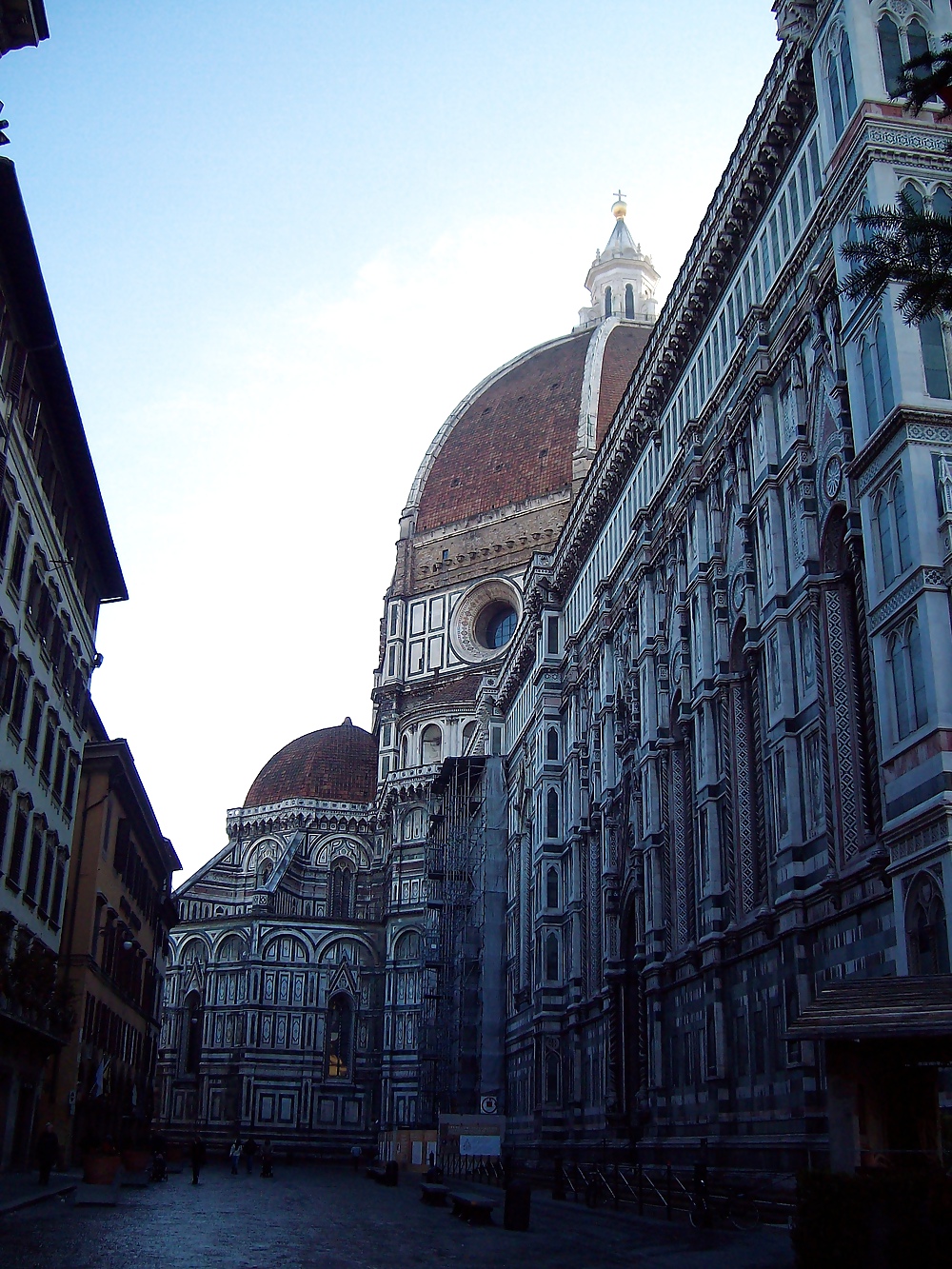 Florence #10613127
