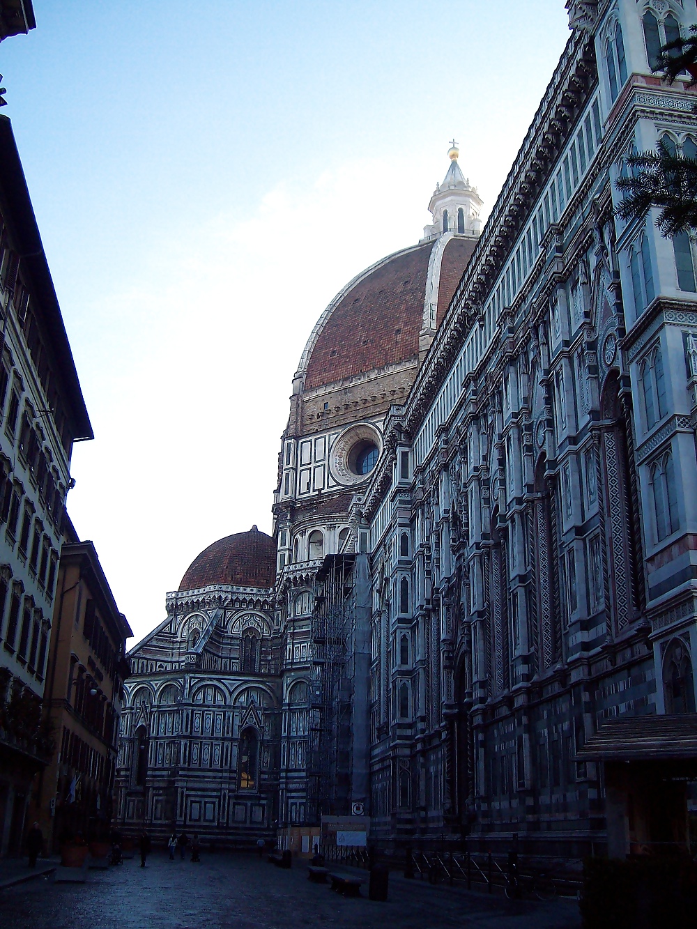 FLORENCE #10613127