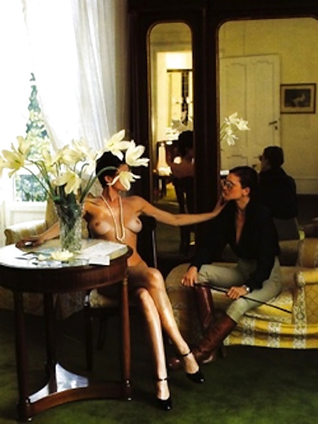 Elegance #10652260