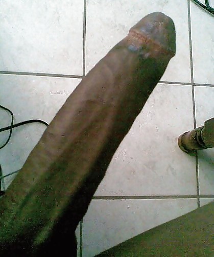 More black cock #19850701