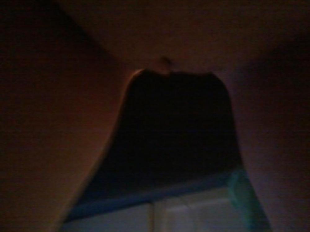 Tributo a mí
 #19342552