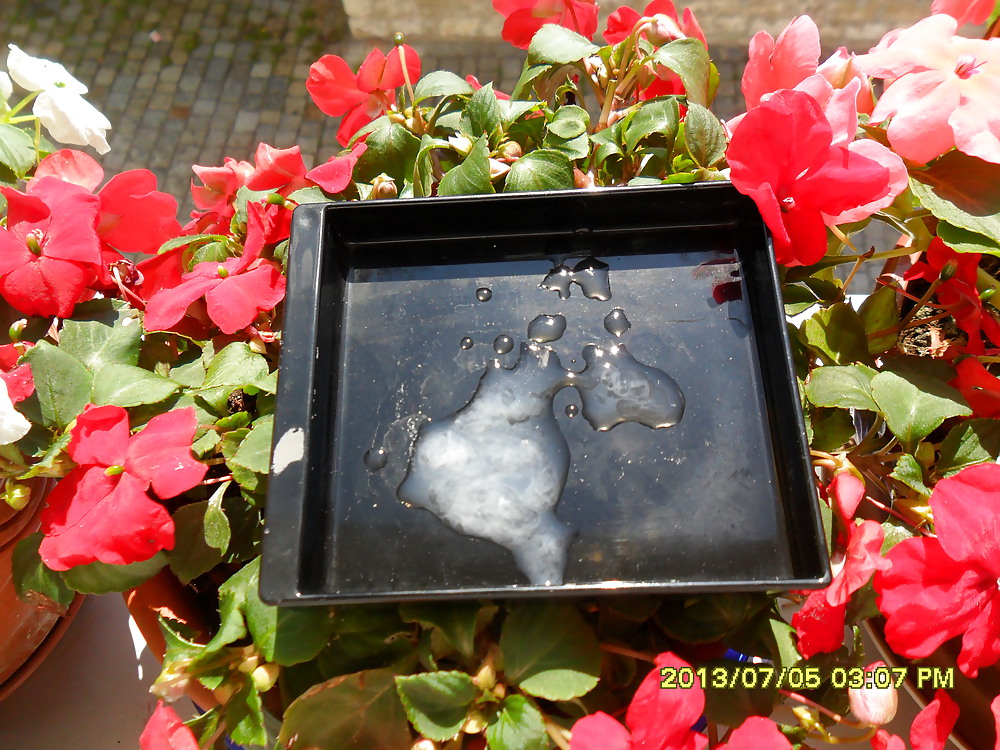 Lo nuevo de nuestros amigos
 #21775432